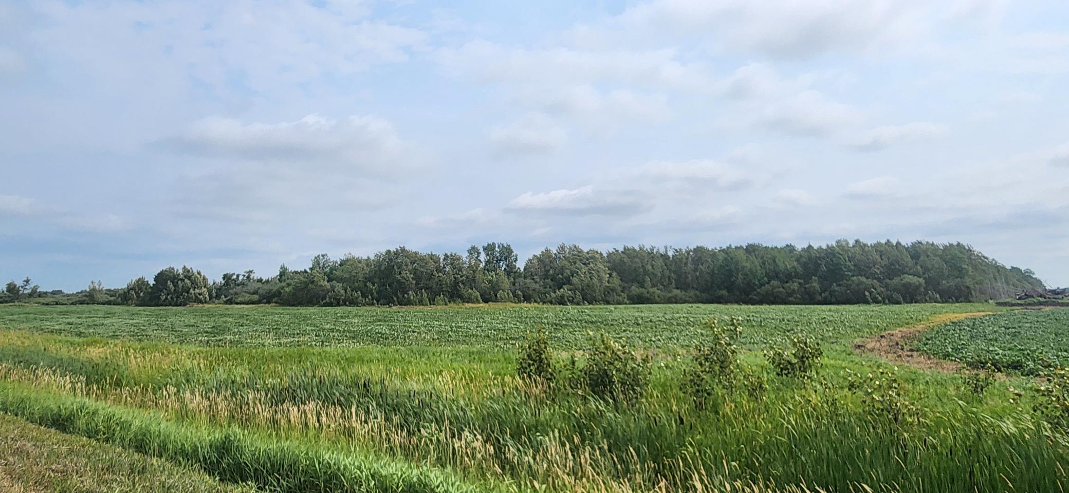 TBD 330th Avenue NE, Goodridge, MN 56725