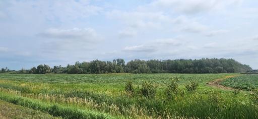 20260724_113040.jpg