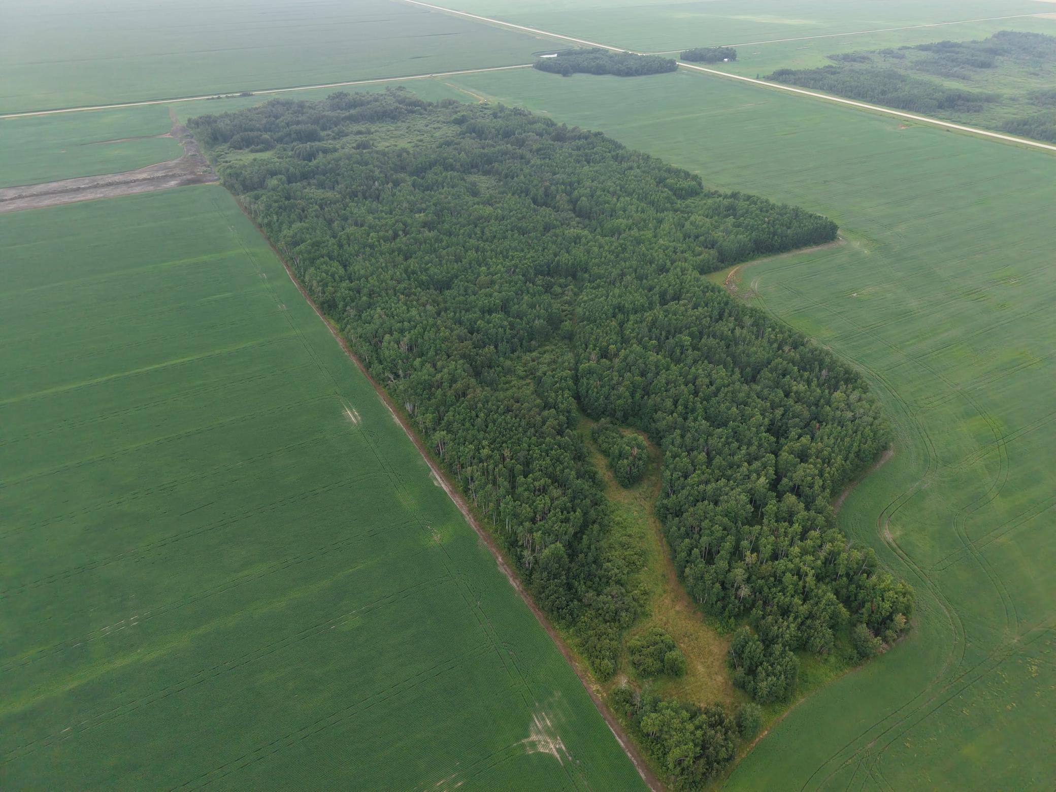 dji-fly-20260730-162508-0080-1785447653192-photo.JPG