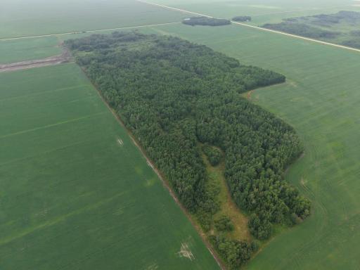 dji-fly-20260730-162508-0080-1785447653192-photo.JPG