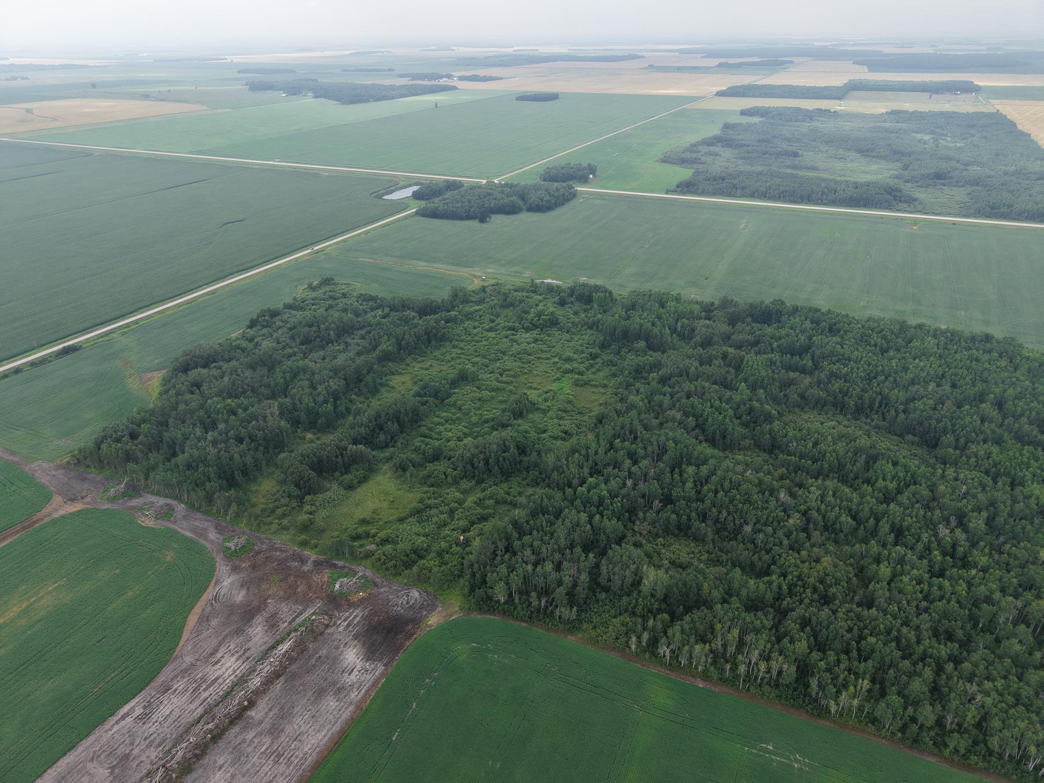dji-fly-20260730-162410-0078-1785447654606-photo.JPG