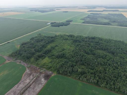 dji-fly-20260730-162410-0078-1785447654606-photo.JPG
