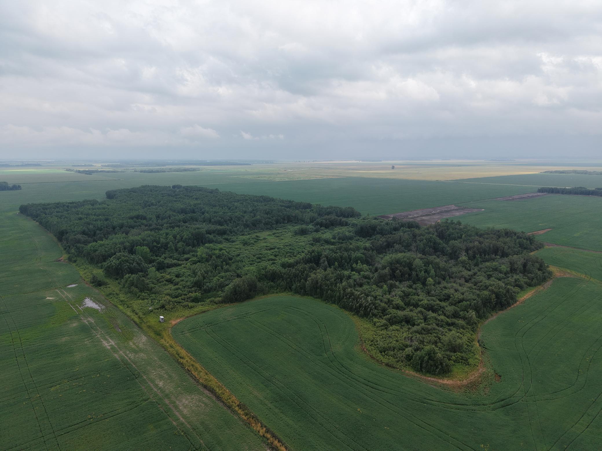 dji-fly-20260730-162218-0073-1785447657411-photo.JPG