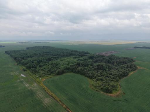 dji-fly-20260730-162218-0073-1785447657411-photo.JPG