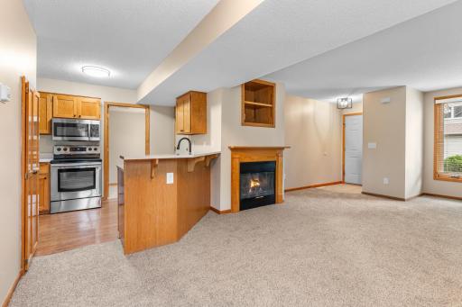 1585 Millpond Court, Chaska, MN 55318