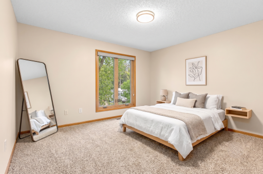 1585 Millpond Court, Chaska, MN 55318