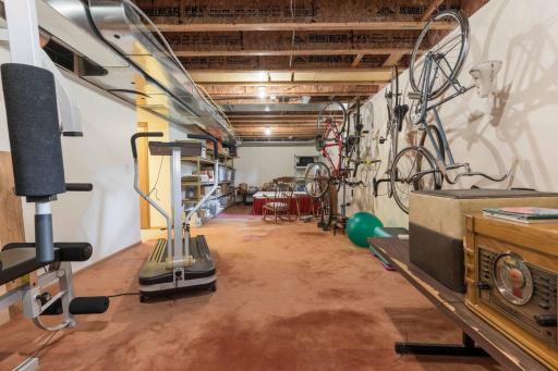 Lower Level Exercise Area
