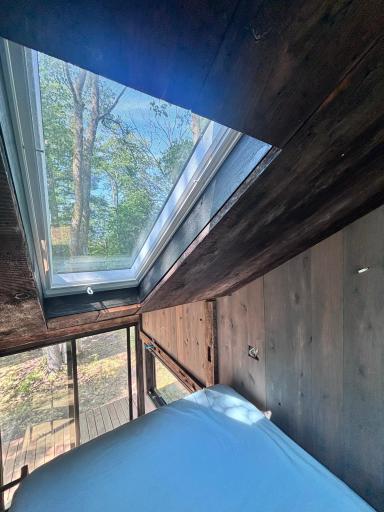 View from the loft and out the skylight.