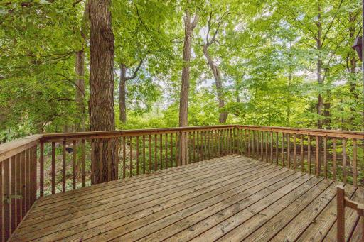 1106 Hollybrook Drive, Wayzata, MN 55391