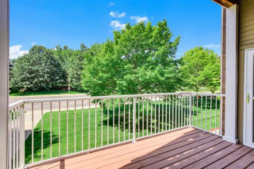 The attractive view from your deck.