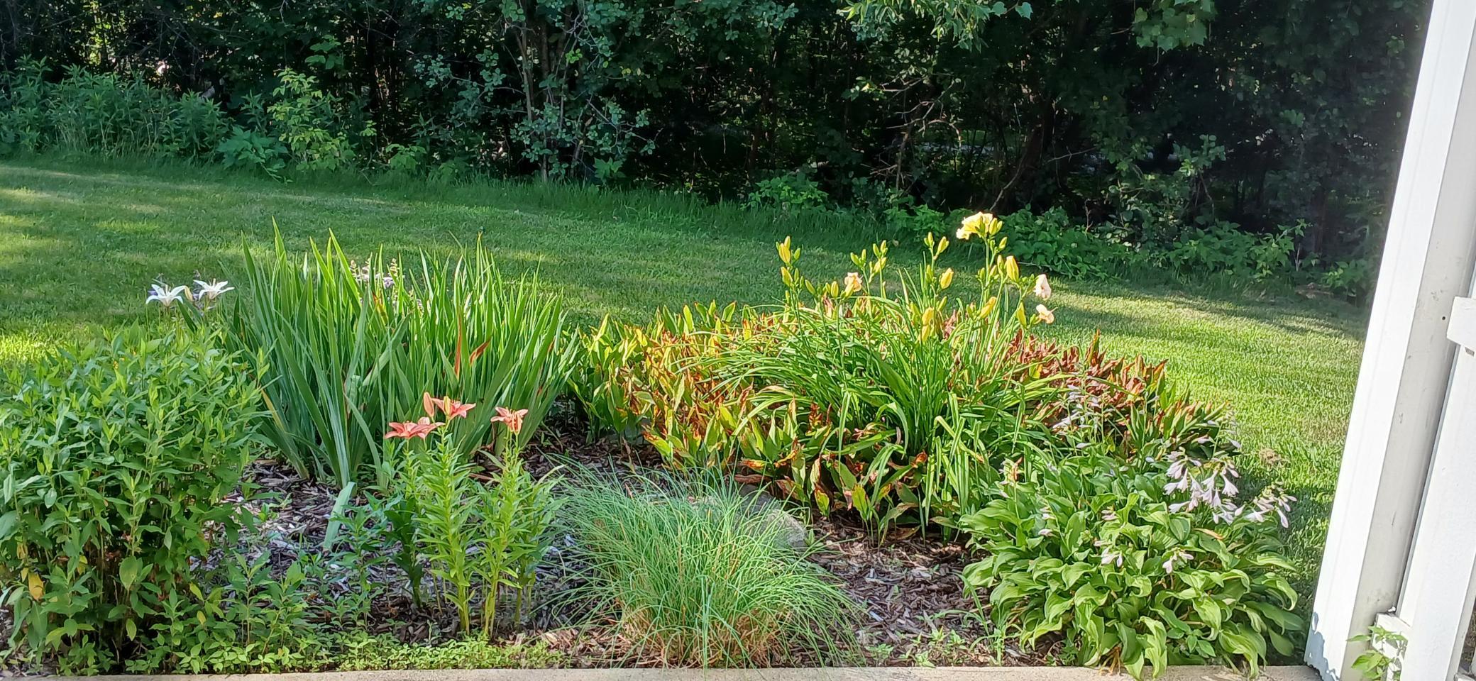 20260716_174540.jpg
