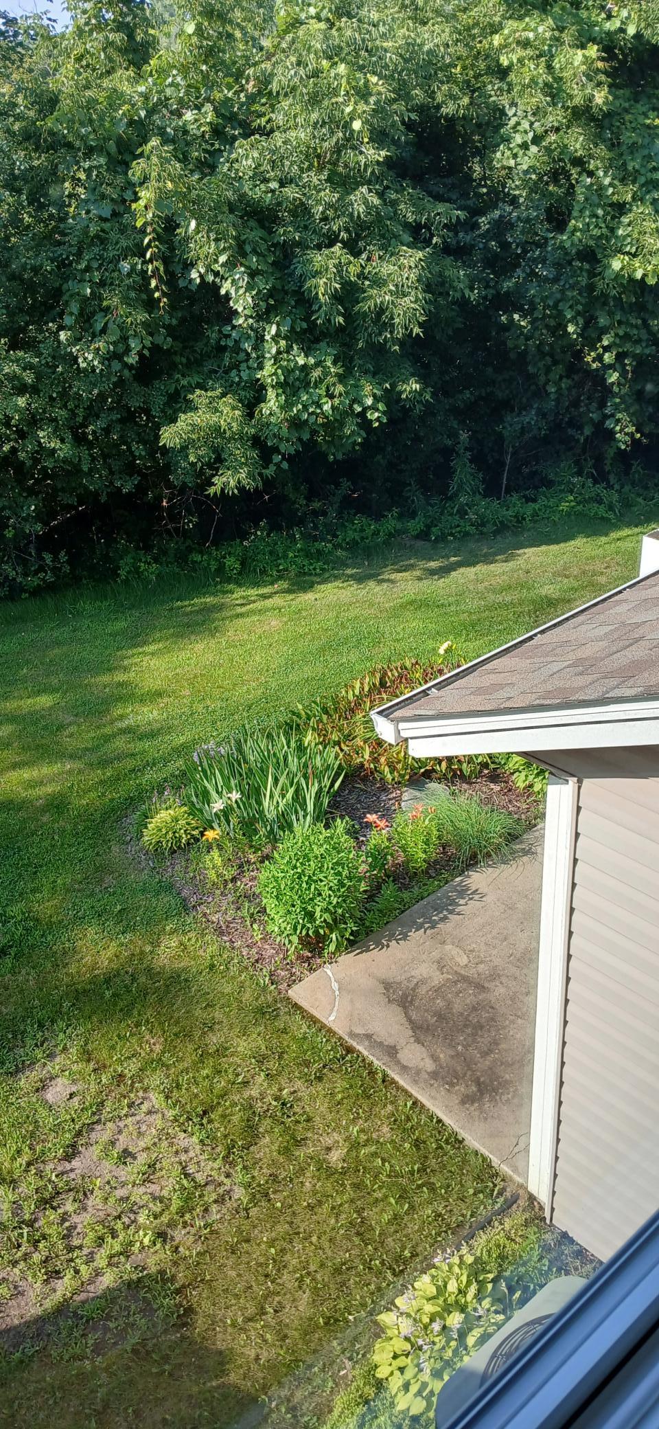 20260716_172907.jpg
