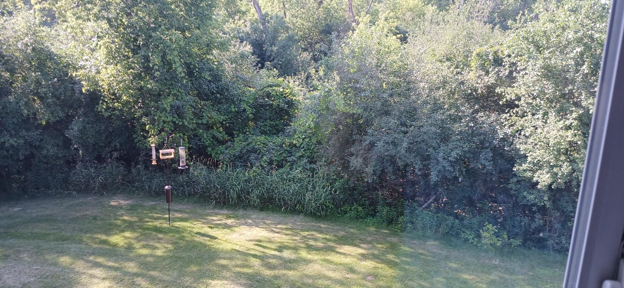 20260716_172856.jpg