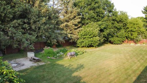 Photo 55