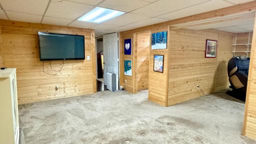basement den/Bdrm (empty)