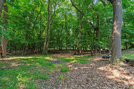 280 Big Island, Orono, MN 55331