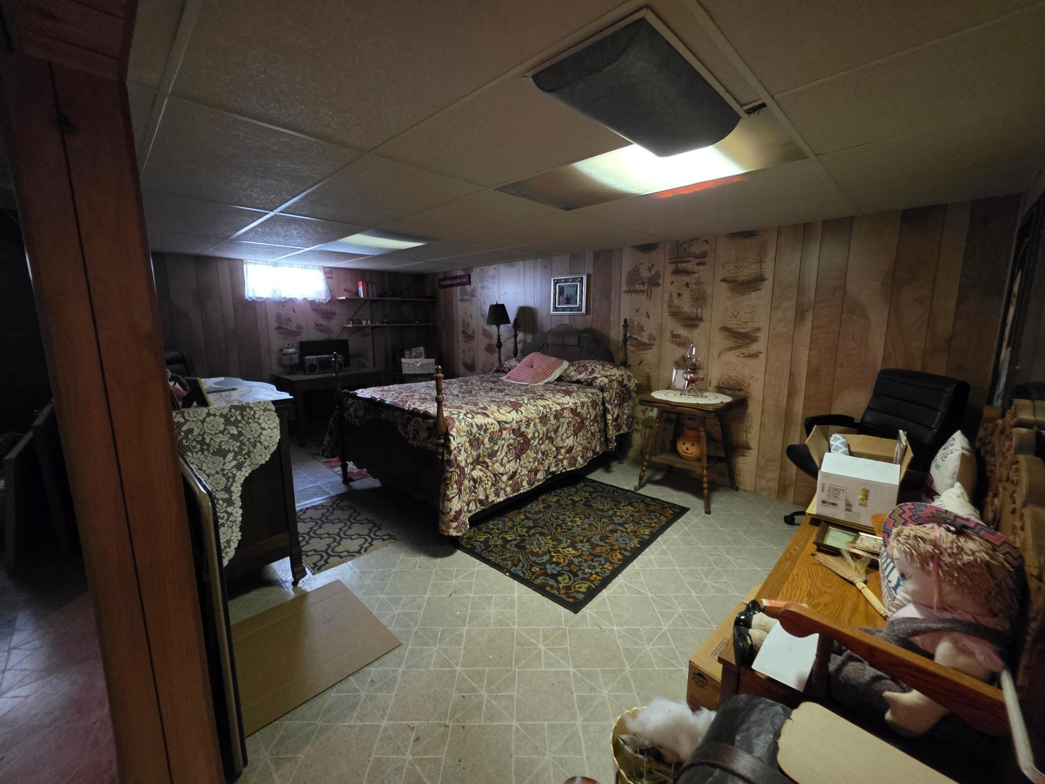 Basement Bonus area