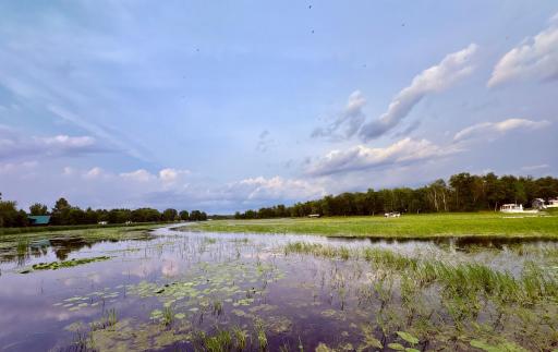 Zippel Bay- west branch