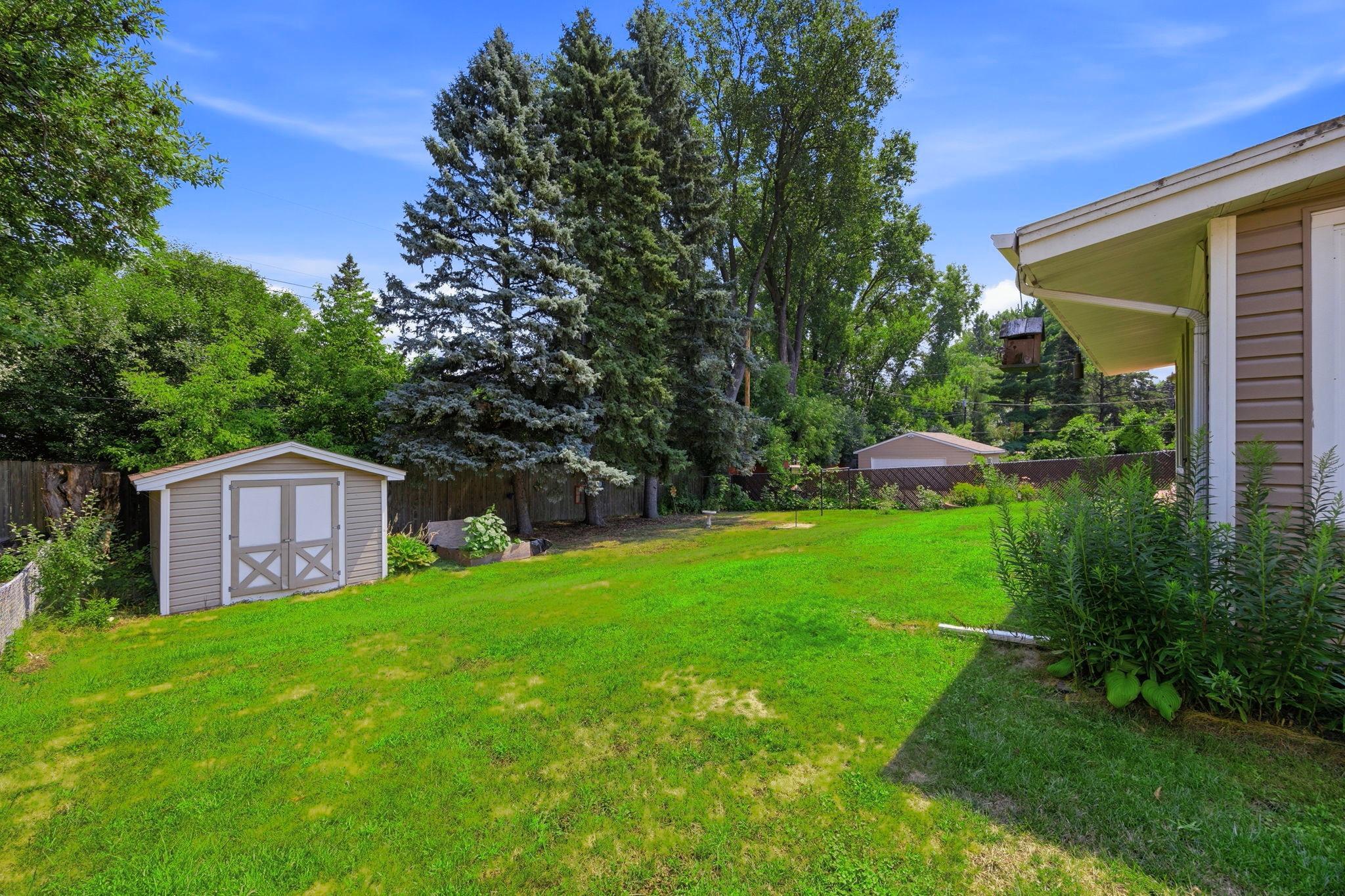 edited backyard2.jpg