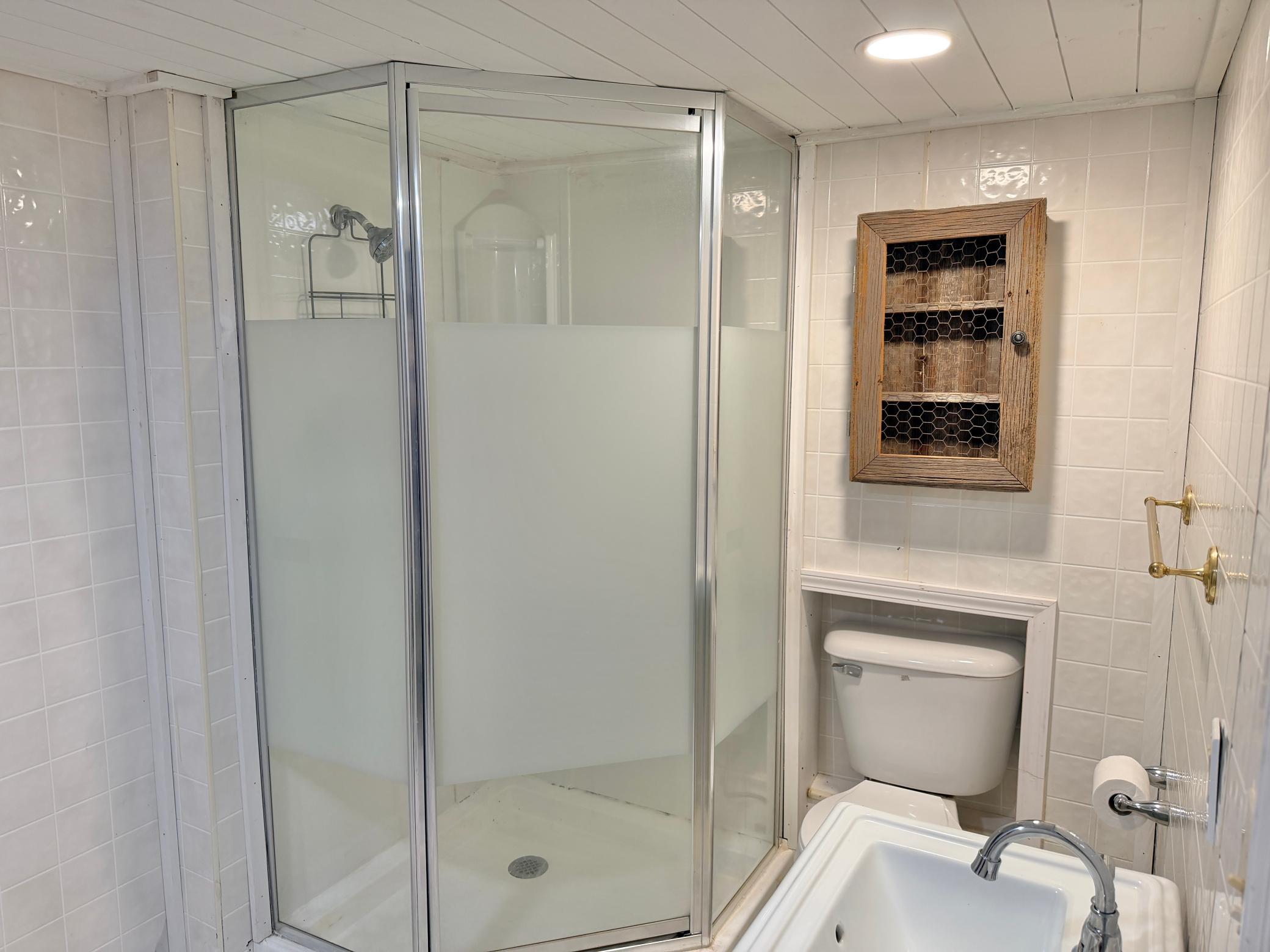 Lower level bathroom