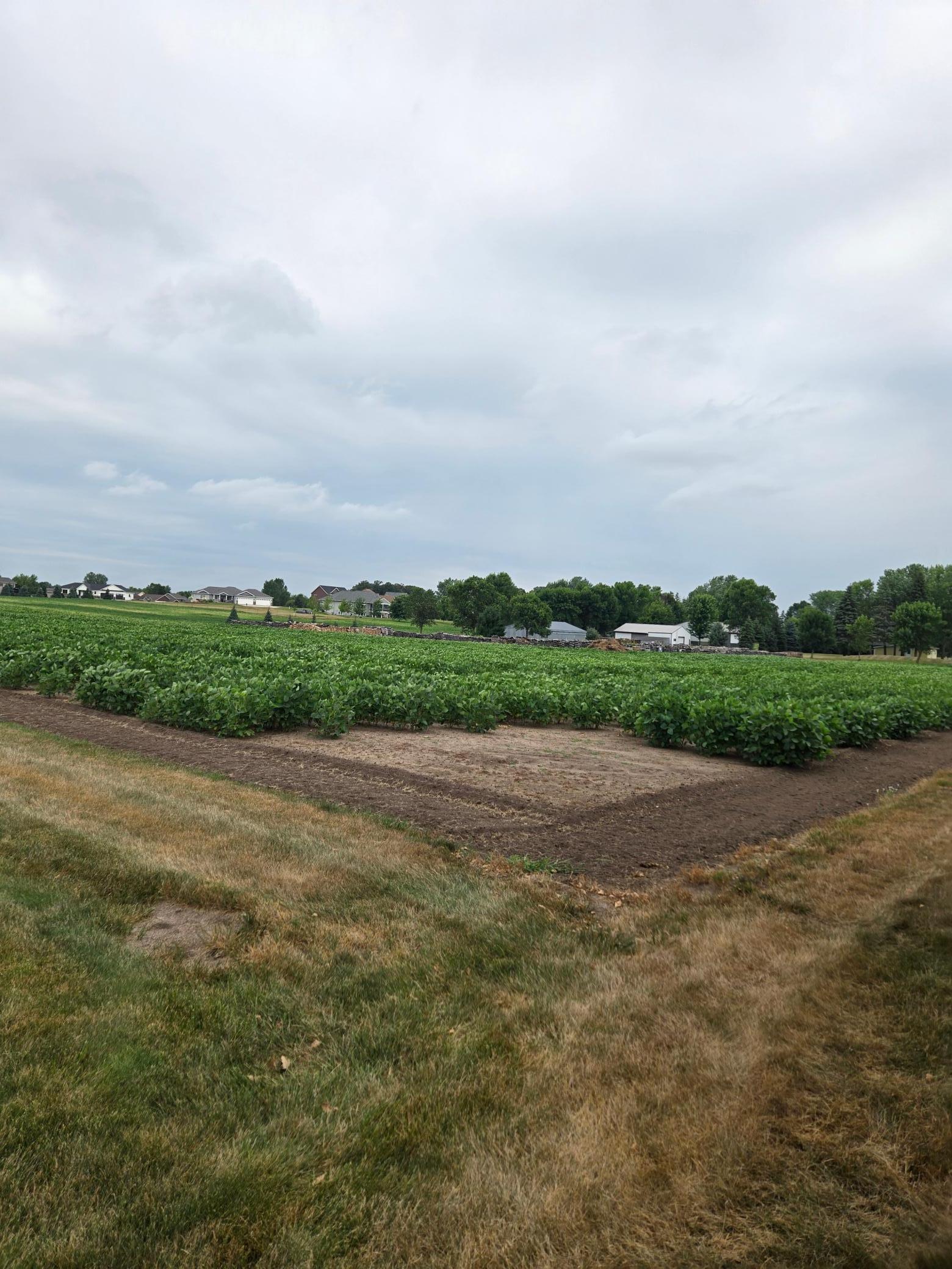 Land pic 3.jpg