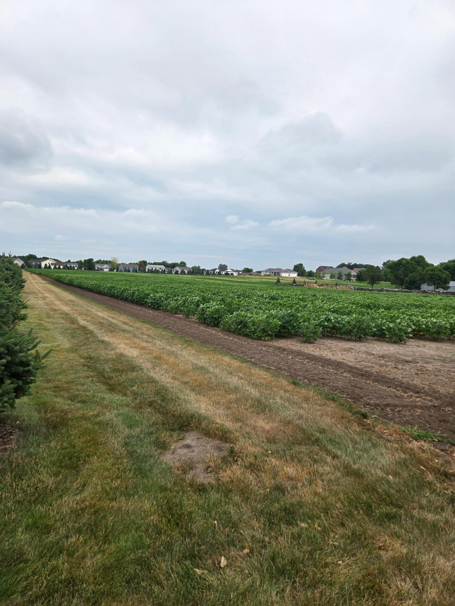 Land pic 2.jpg