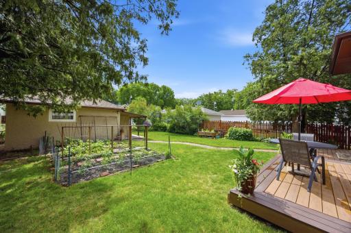 Back yard