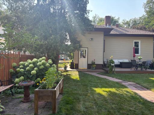 Back yard