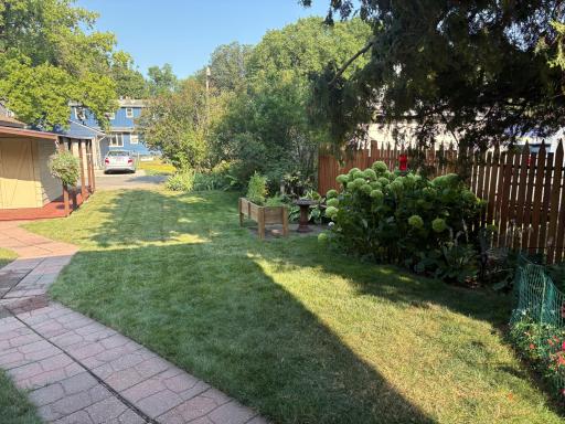 Back yard