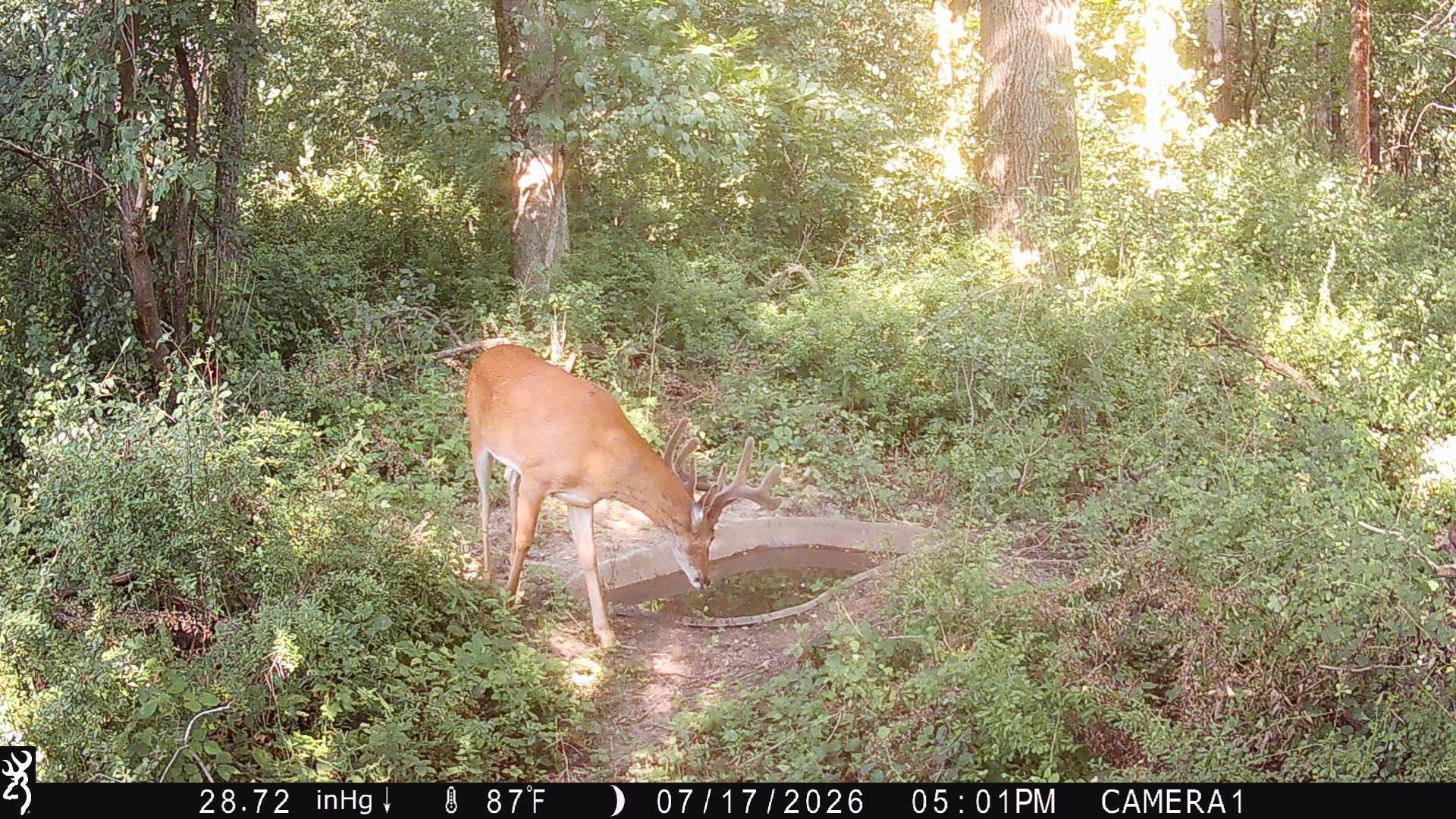 Pic taken 400 yards to East on seller's land.