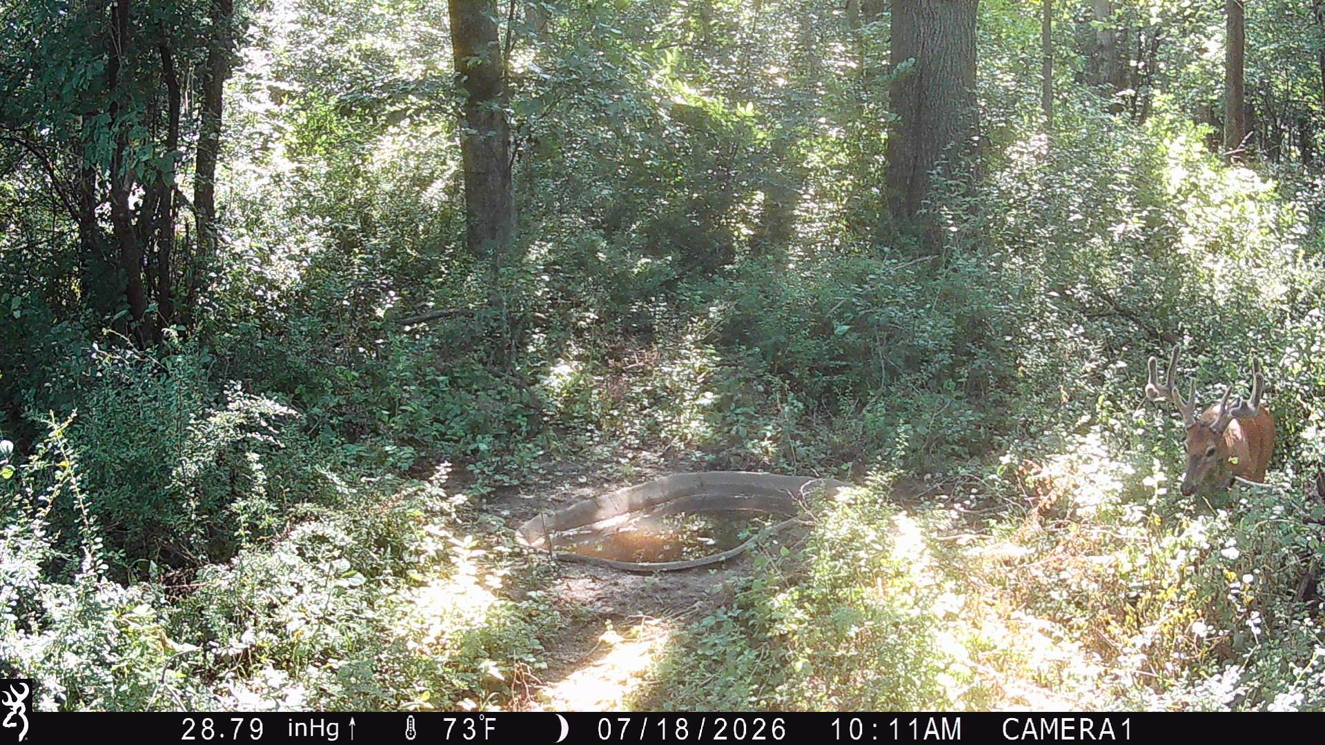 Pic taken 400 yards to East on seller's land.