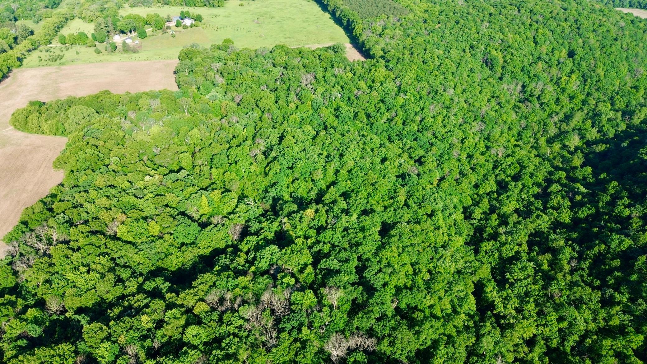 DJI_0439.JPG