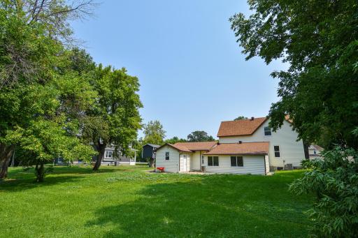 DSC_6201.jpg
