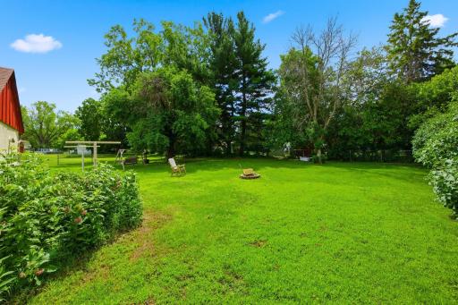 Huge Backyard