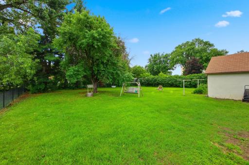 Huge Backyard