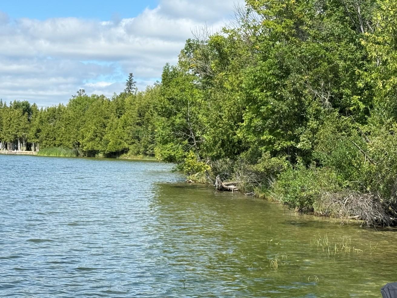 Shoreline view