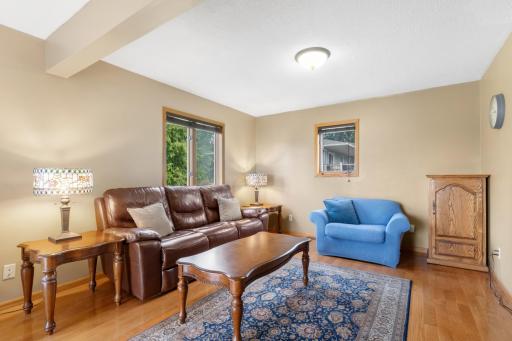 Living Room_middle level walkout