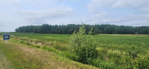 20260724_114633.jpg