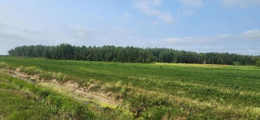 TBD 340th Avenue NE, Goodridge, MN 56725