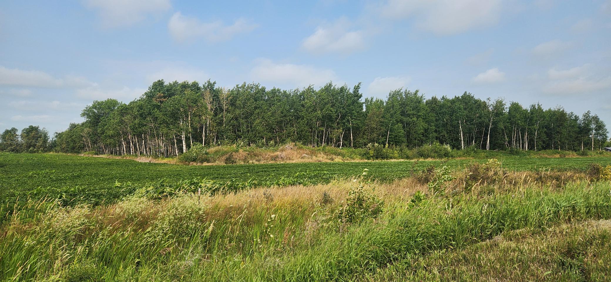 20260724_104630.jpg