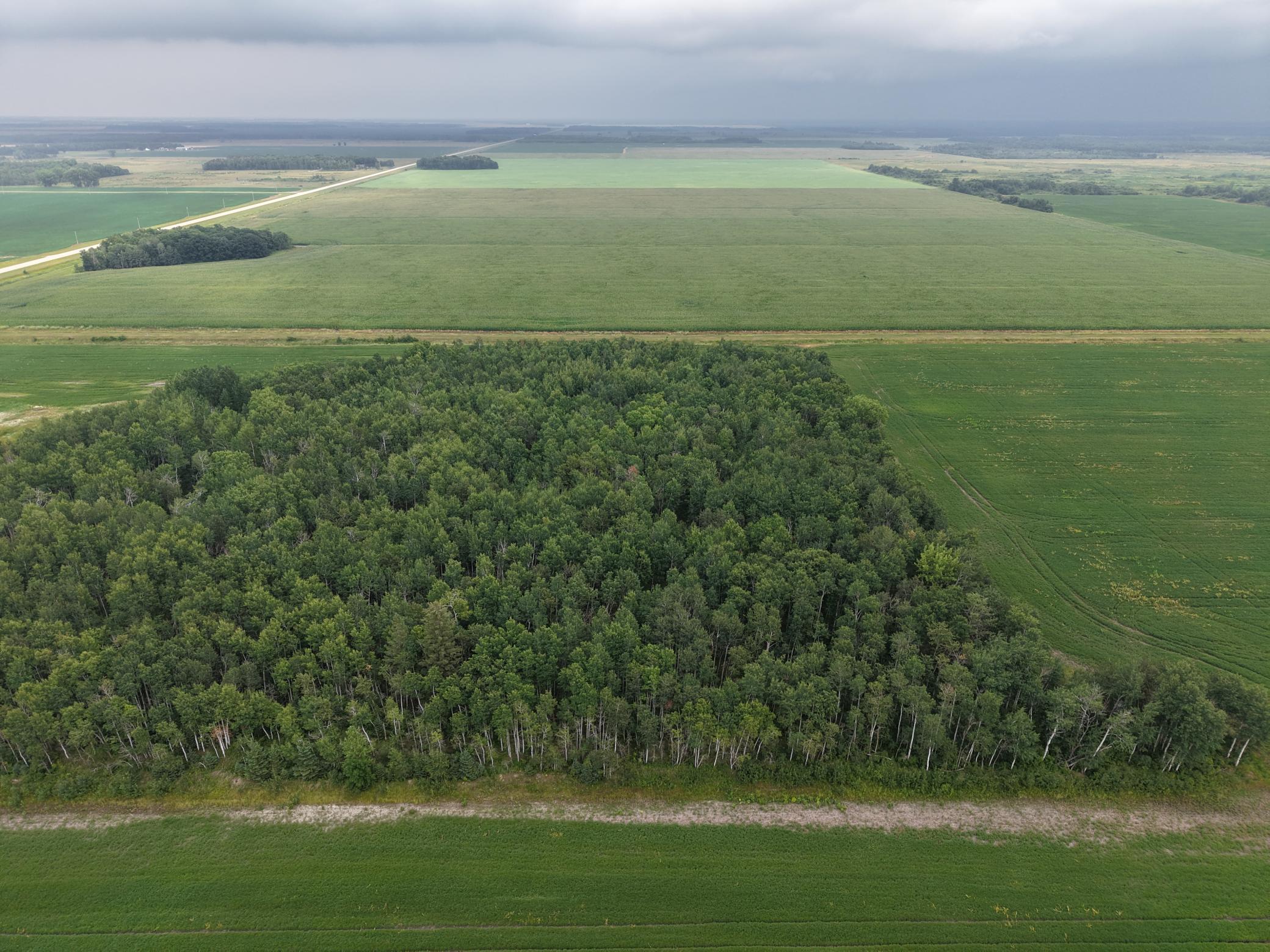 dji-fly-20260730-163534-0093-1785447623590-photo.JPG