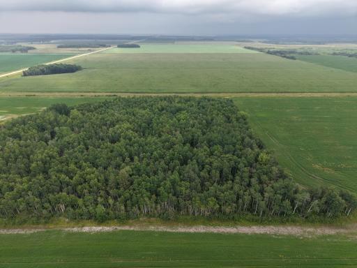 dji-fly-20260730-163534-0093-1785447623590-photo.JPG