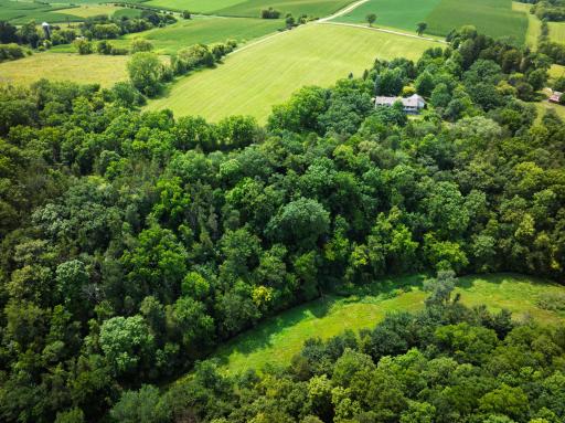 DJI_20260805135727_0115_D.jpg