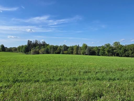 18123 Deer Road, Lanesboro, MN 55949