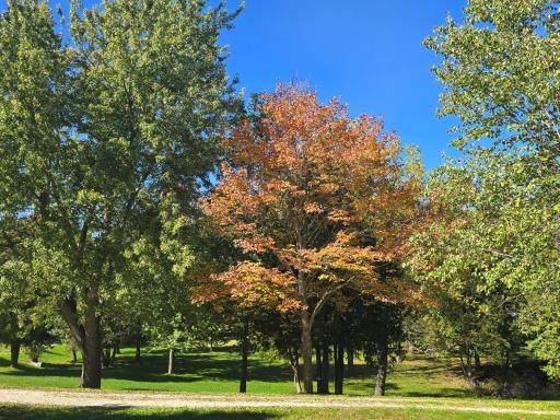 18123 Deer Road, Lanesboro, MN 55949