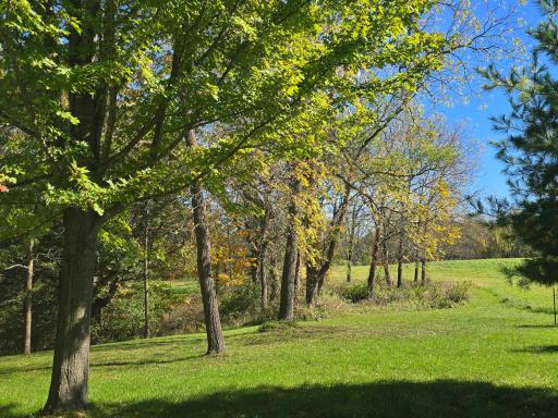 18123 Deer Road, Lanesboro, MN 55949