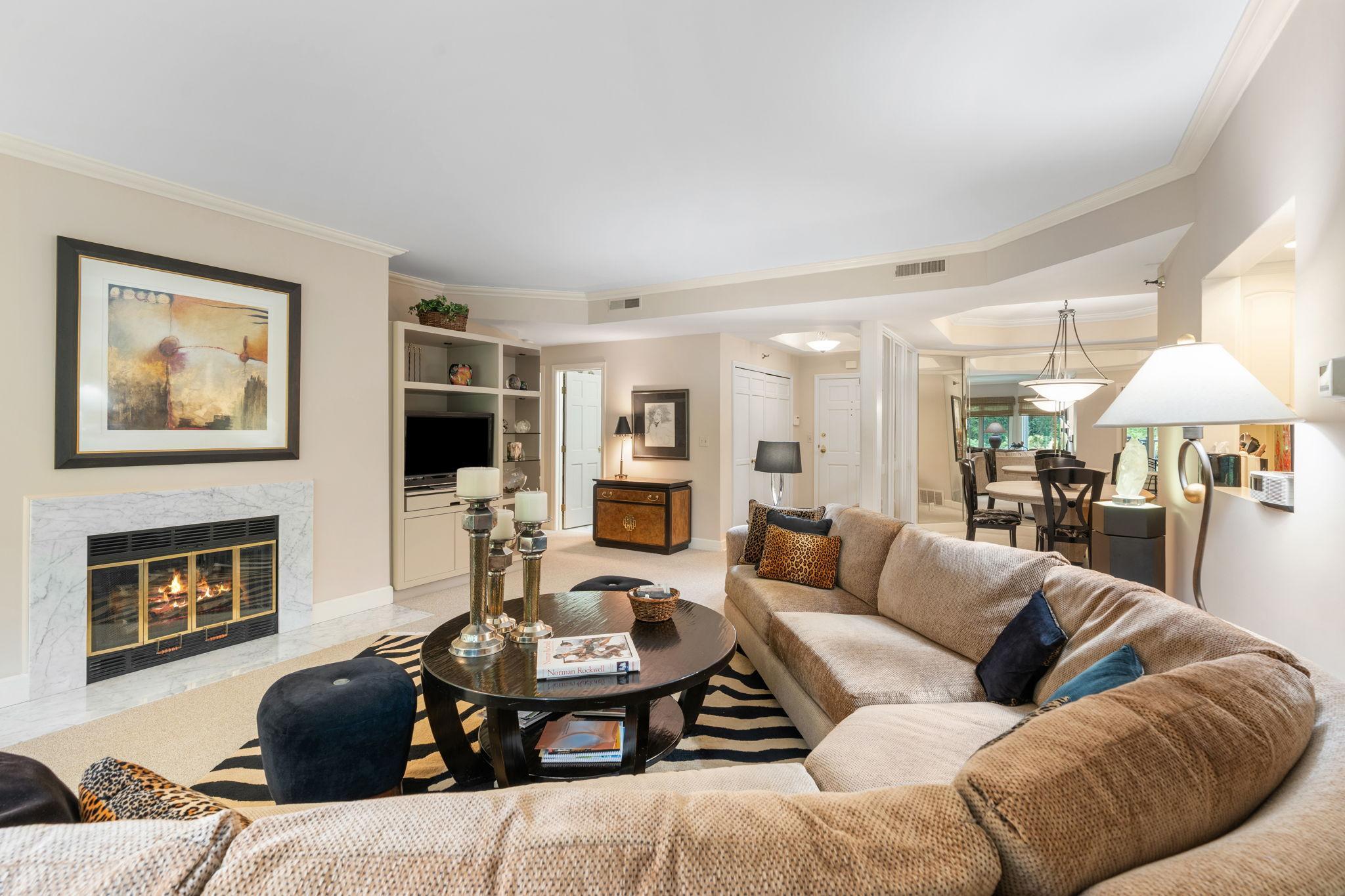 (Fireplace is virtually staged as "on". Seller has never used fireplace and does not warrant the condition or operation)