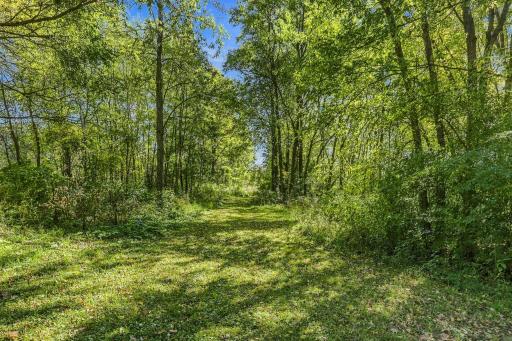 Walking trail goes to the back half of the lot.