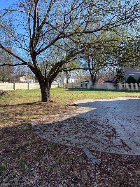 yard.JPG
