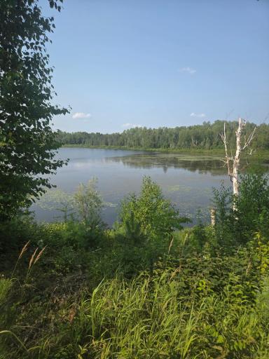 1423 Stone Lake Bridge Road, Brimson, MN 55602